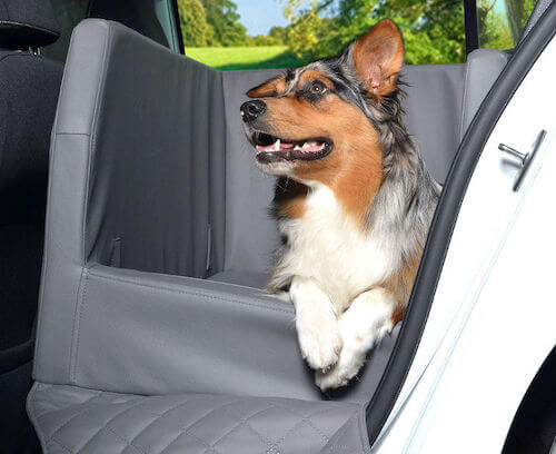 Hundebett Auto Rücksitz Test