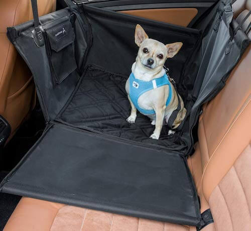 LIONSTRONG Hunde Autositz Rücksitz