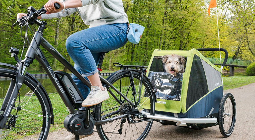 Fahrradanhänger Hund Mit Federung Test fahrradbic